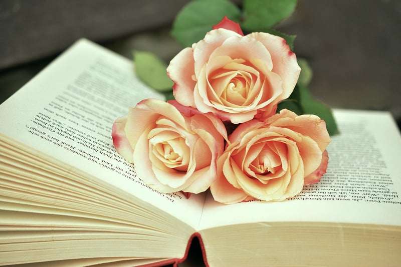Vintage Book Page Coasters