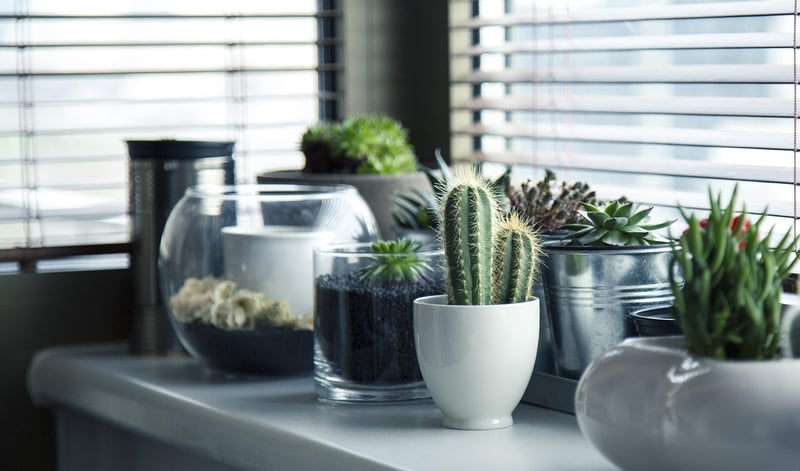 Personalized Upcycled Planters